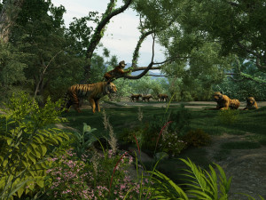 Zoo Modèle 3D