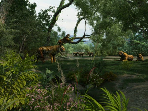 Zoo 3D Model
