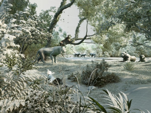 Zoo Modèle 3D