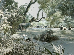Zoo 3D Model