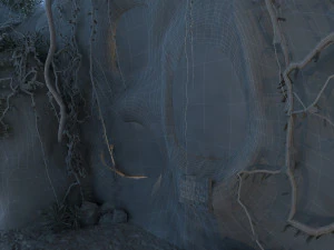 Zoo 3D Model