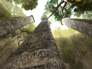 Zoo 3D 模型