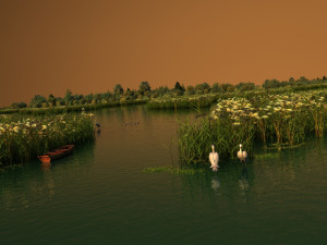 Wetland spring 3D Model