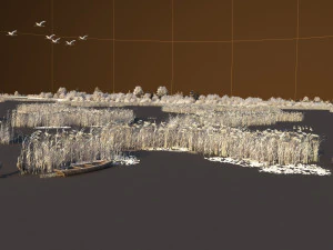 Wetland spring 3D Model