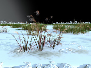 Wetland winter 3D मॉडल