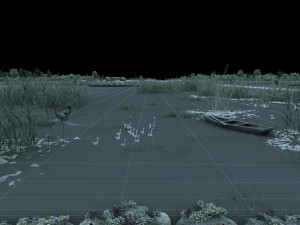 Wetland summer 3D Model