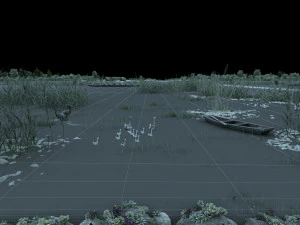 Wetland summer 3D Model