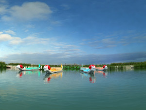 Welcoming fleet 3D मॉडल