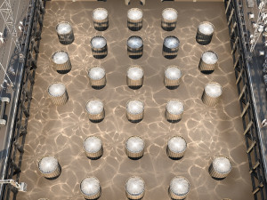 Build a bridge 3D-Modell