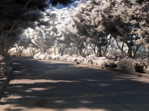 Highroad Model 3D