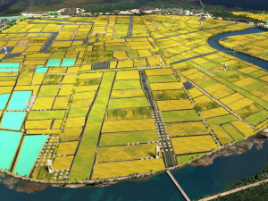 Field Modello 3D