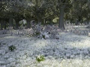 Park greening 3D Model