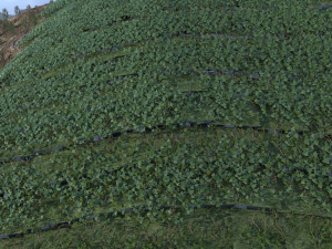 Barren mountain Modello 3D