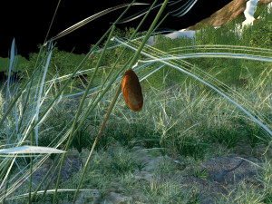 Chrysalis 3D Model