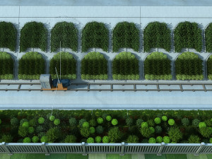 Irrigate 3D Model