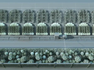 Irrigate 3D Model
