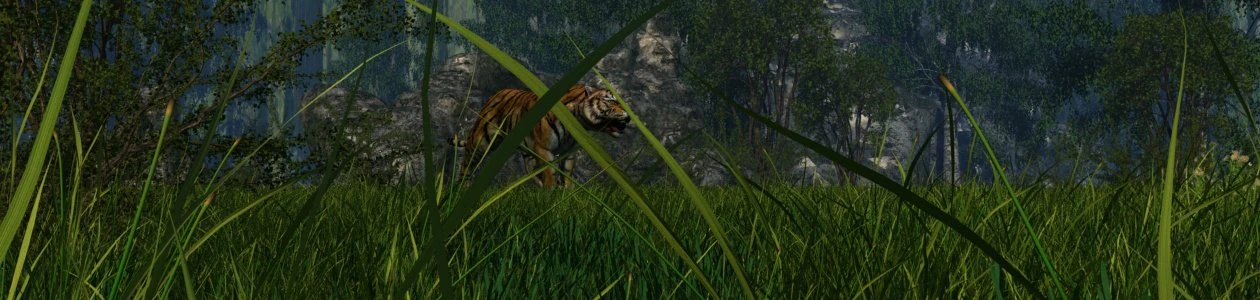 Tiger 3D Model .c4d .max .obj .3ds .fbx .stl .blend 
