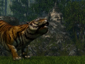 Tiger Model 3D