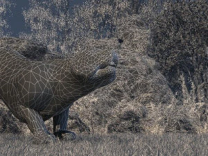 Tiger 3D Model
