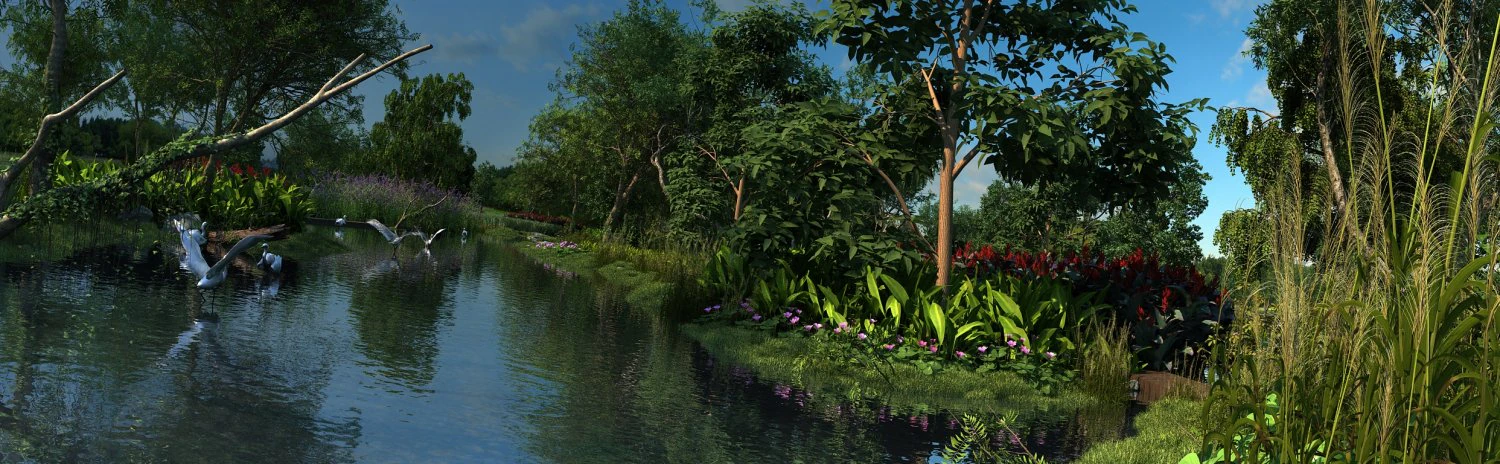 Wet land 3D Model .c4d .max .obj .3ds .fbx .stl .blend 