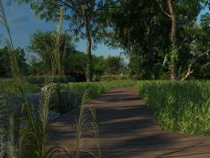 Wet land 3D Model