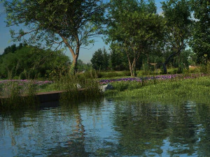 Wet land 3D Model