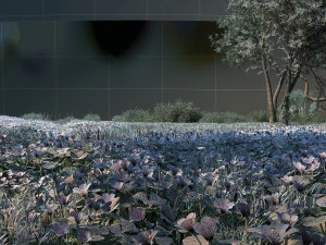 Wet land 3D Model