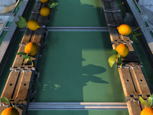 Fruit packaging 3D 模型