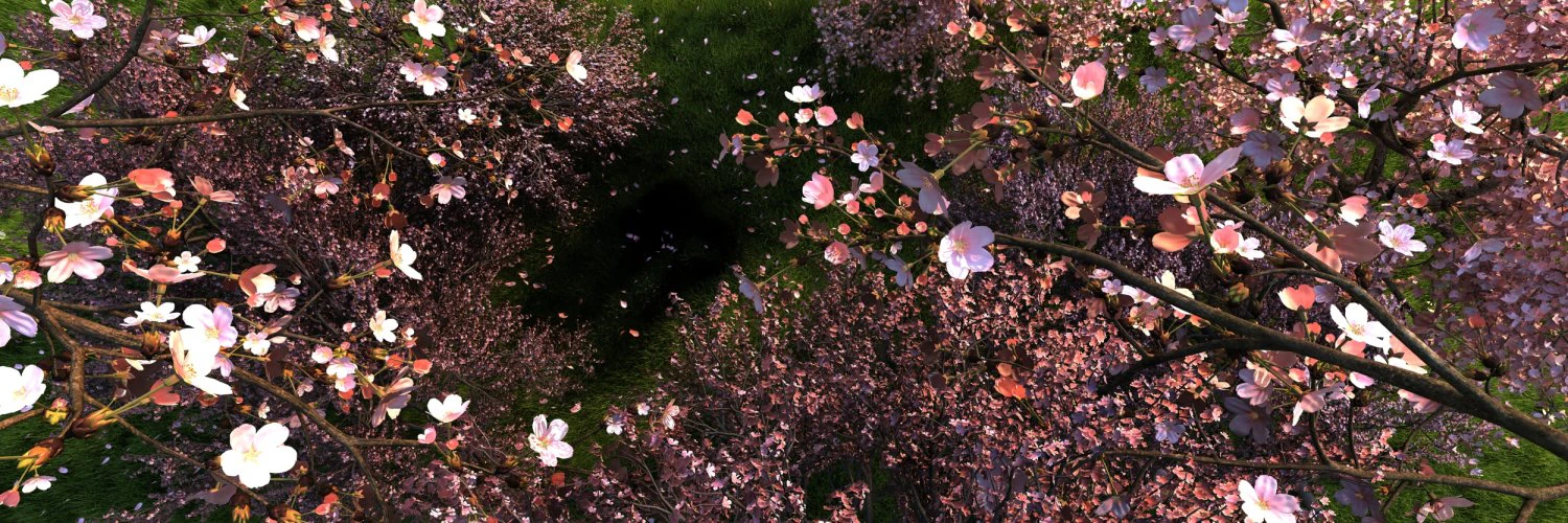 Peach blossom 3D Model .c4d .max .obj .3ds .fbx .stl .blend 