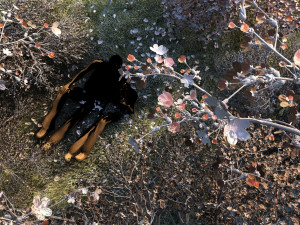 Peach blossom 3D Модель