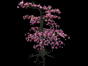 Peach tree Modelo 3D