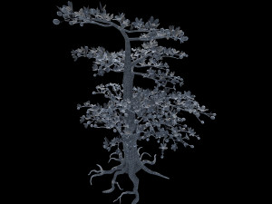 Peach tree Modelo 3D