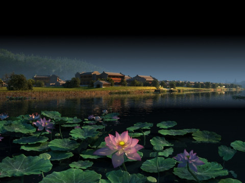 Lotus pond Modello 3D