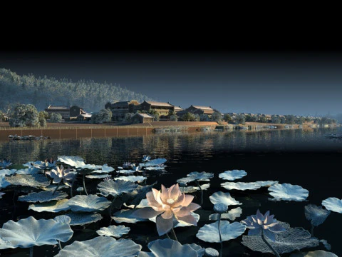 Lotus pond 3D Model
