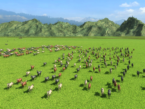 Horse ranch Modèle 3D