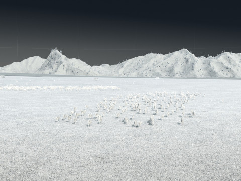 Horse ranch Modèle 3D