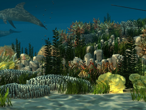 Seabed 3D मॉडल