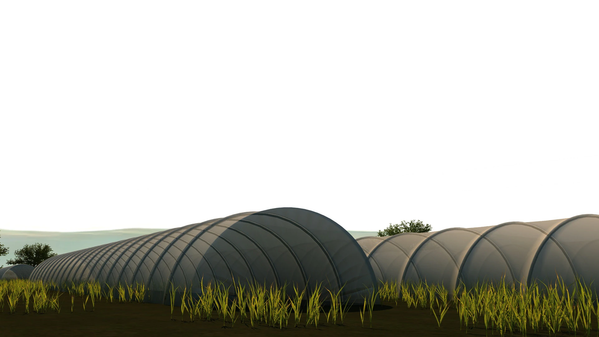 Cobertizo de verduras Modelo 3D .c4d .max .obj .3ds .fbx .stl .blend 