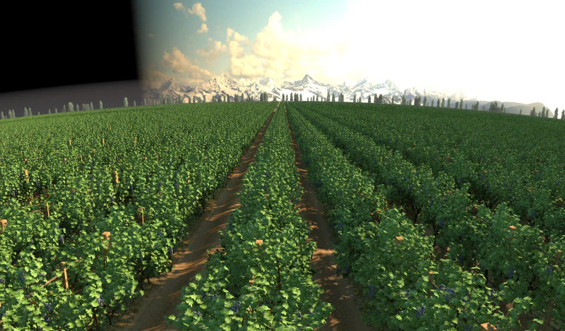 葡萄园 3D 模型 .c4d .max .obj .3ds .fbx .stl .blend 