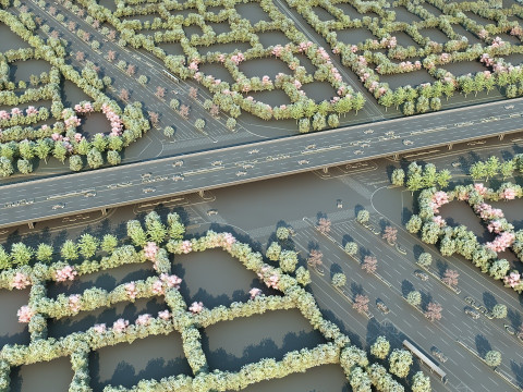 Highway Modello 3D