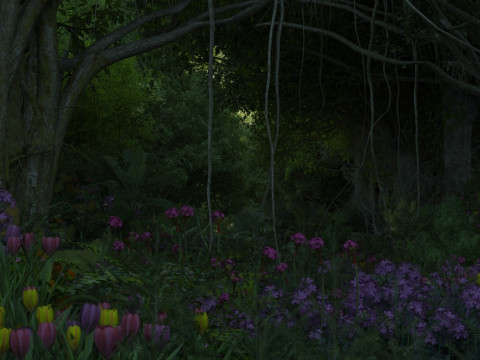 Tropical rainforest 3D 모델