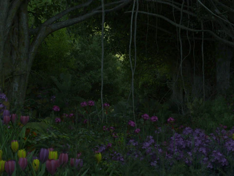 熱帯雨林 3Dモデル