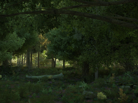 Tropical rainforest 3Dモデル