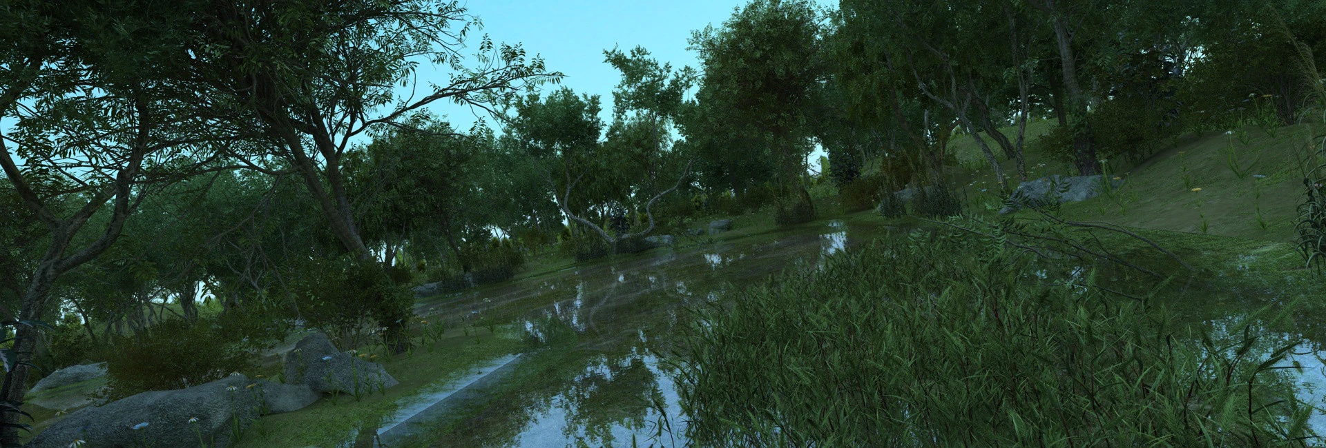Mangrove 3D Model .c4d .max .obj .3ds .fbx .stl .blend 