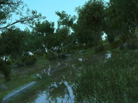 Mangrove 3D Model