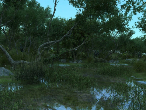 Mangrove 3D Model