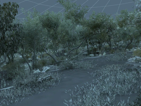 Mangrove 3D Model