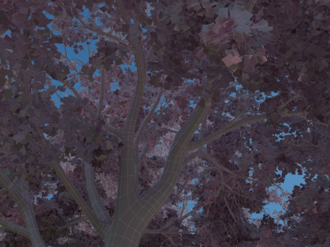 Trail Modelo 3D