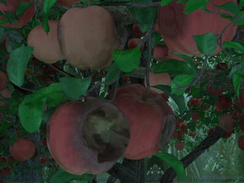 Apple orchard Modelo 3D