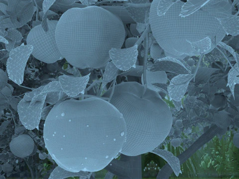 Apple orchard 3D Model